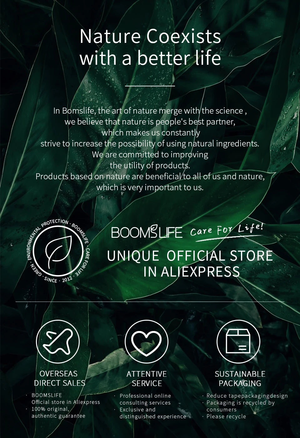 Brosse à cheveux en poils de sanglier BOOMSLIFE, peigne pour femmes