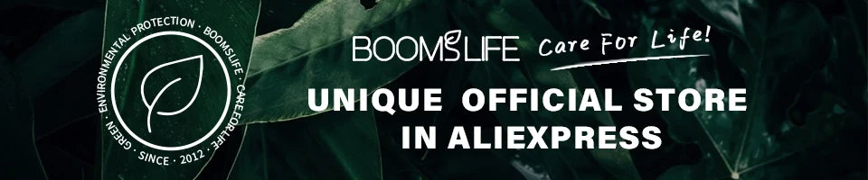 Brosse à cheveux en poils de sanglier BOOMSLIFE, peigne pour femmes