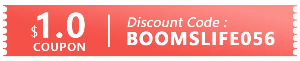 Brosse à cheveux en poils de sanglier BOOMSLIFE, peigne pour femmes